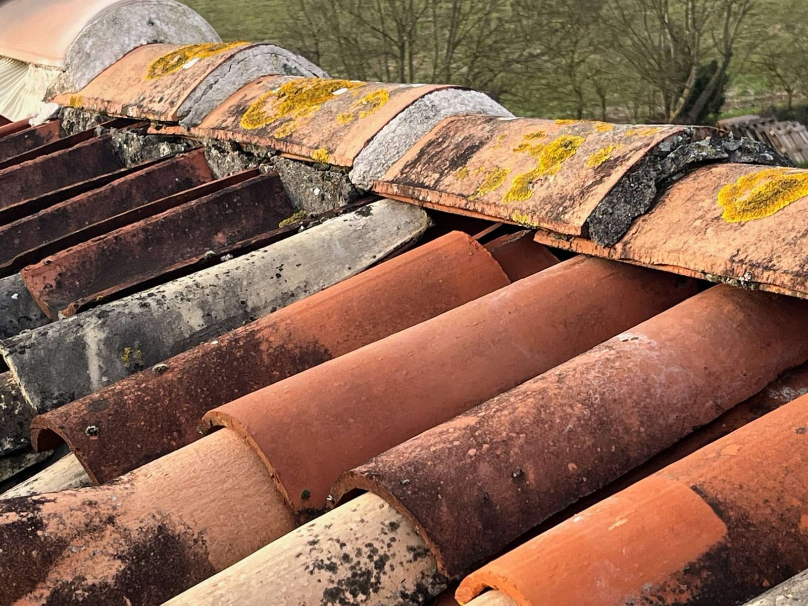Vue sur une toiture sale avec des mousses et de straces de pollution